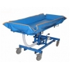 Carro de lavado REGULABLE y POSICIONABLE con barandillas y 4 ruedas con freno
