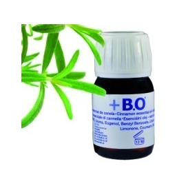 Aceite esencial de romero B.O