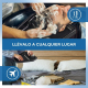 Lavacabezas portátil para silla de ruedas | Negro | Teja | - Foto 5
