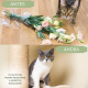Rascador para gatos | Pequeño | Beige | Modelo Oliver | Mobiclinic - Foto 4