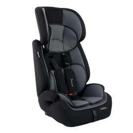 Silla de coche bebé Isofix 1 2 3 | Protecciones laterales | De 9 a 36 kg | Respaldo extraíble | Gris | Lionfix | Mobiclinic