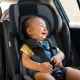 Silla de coche bebé Isofix 1 2 3 | Protecciones laterales | De 9 a 36 kg | Respaldo extraíble | Gris | Lionfix | Mobiclinic - Foto 15