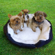 Cama para mascotas Mod. Pluto (Talla M) - Foto 18