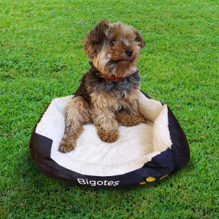 ¡Personalízalo! | Cama para mascotas | Varias tallas | Customiza tus productos | Plegable | Pluto | Mobiclinic