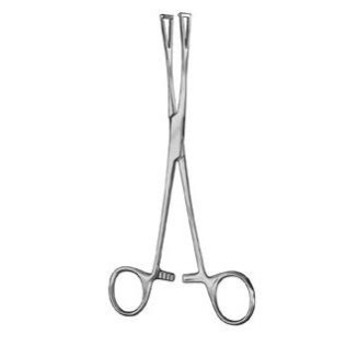 Duval pinza para intestinos pequeña 18,0 cm