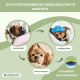 Comedero interactivo para perros | Tres capas | 26x26x7,5cm | Combate aburrimiento | Antideslizante| Juego| Doggy | Mobiclinic - Foto 8