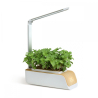 Huerto urbano interior | LED automática | Cultivo sin luz natural | Altura y ángulo ajustables | 4,5W | Mini-grow | Mobiclinic