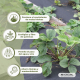 Malla antihierbajos | 150g/m² | Resistente a rayos UV | Transpirable y permeable | 1 x 5 m | HerbStop | Mobiclinic - Foto 7