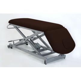 Camilla eléctrica de reconocimiento de dos cuerpos |...