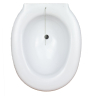 Auf die Toilette aufsetzbares Bidet | Sitzbecken | Bidet für WC | sehr einfach zu verwenden | Größe: 38 x 41,5 x 14 cm