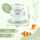 Petit aquarium rond | PET eco | 4L | Petits poissons | Nettoyage facile | 20x20x17,5cm | Jardin aquatique | Nemo | Mobiclinic - Foto 2