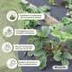 Filet anti-mauvaises herbes | 150g/m² | Résistant aux UV | Respirant et perméable | 1 x 5 m | HerbStop | Mobiclinic - Foto 7