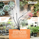Pflanzenlampe | LED | 3 Modi | 6000K| Schwarz| Timer | 10 Helligkeitsstufen | 360º Drehung | Growflex | Mobiclinic - Foto 9