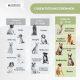 Hundeschwimmweste | Verstellbares Geschirr | Ringleine | Griff | Leichtgewicht | Flosse | Sharky | L | Mobiclinic - Foto 8