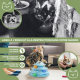 Jeu interactif pour chats | Stimulation sensorielle | Compact | Activité physique | Conception de la tour | Catplay | Mobiclinic - Foto 2