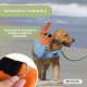 Gilet de sauvetage pour chien | Harnais réglable | Laisse à anneau | Poignée | Aileron décoratif | Sharky | L | Mobiclinic - Foto 17