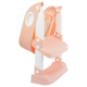 Seduta WC per bambini | Confortevole | Sicuro | Con scaletta | Antiscivolo | Regolabile | Pieghevole | Lala | Mobiclinic - Foto 5