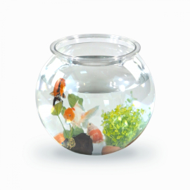 Acquario rotondo piccolo per pesci | PET eco | 4L | Facile da pulire | 20x20x17,5 cm | Giardino acquatico | Nemo | Mobiclinic