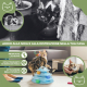 Gioco interattivo per gatti | Stimolazione sensoriale | Compatto | Attività fisica | Design a torre | Catplay | Mobiclinic - Foto 3