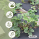 Rete anti-erbacce | 150 g/m² | Resistente ai raggi UV | Traspirante e permeabile | 1 x 5 m | HerbStop | Mobiclinic - Foto 6