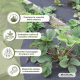 Rete anti-erbacce | 150 g/m² | Resistente ai raggi UV | Traspirante e permeabile | 1 x 5 m | HerbStop | Mobiclinic - Foto 7