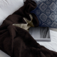 Elektrische deken met afstandsbediening | 160x120 cm | Bruin | Regelbare temperatuur | Mobiclinic - Foto 11