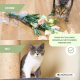 Krabpaal voor katten | Met hangmat | 40 x 40 x 50 cm | Lichtgewicht | Bestand | Max. 10 kg | Milo | Mobiclinic - Foto 6