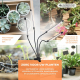 Groeilamp | LED | 3 standen | 6000K| Zwart| Timer | 10 helderheidsniveaus | 360º draaibaar | Growflex | Mobiclinic - Foto 9