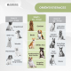 Hondenzwemvest | Verstelbaar harnas | Ringriem | Handvat | Lichtgewicht | Decoratieve vin | Sharky | L | Mobiclinic - Foto 7