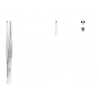 Pinça de dissecção padrão 1: 2 D straight