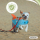 Colete salva-vidas para cães | Arnês ajustável | Guia com anel | Alça | Leve | Barbatana decorativa | Sharky | M | Mobiclinic - Foto 5