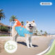 Colete salva-vidas para cães | Arnês ajustável | Guia com anel | Alça | Leve | Barbatana decorativa | Sharky | XL | Mobiclinic - Foto 4
