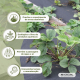 Tela anti-ervas daninhas | 150g/m² | Resistente a UV | Respirável e permeável | 1 x 5 m | HerbStop | Mobiclinic - Foto 7