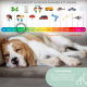 Luftmadrass anti decubitus | Kompressor | Flamskyddsmedel PVC | 200x90x7 cm | Klass 1 | 130 celler | Lila | Mobi 1 | Mobiclinic - Foto 3